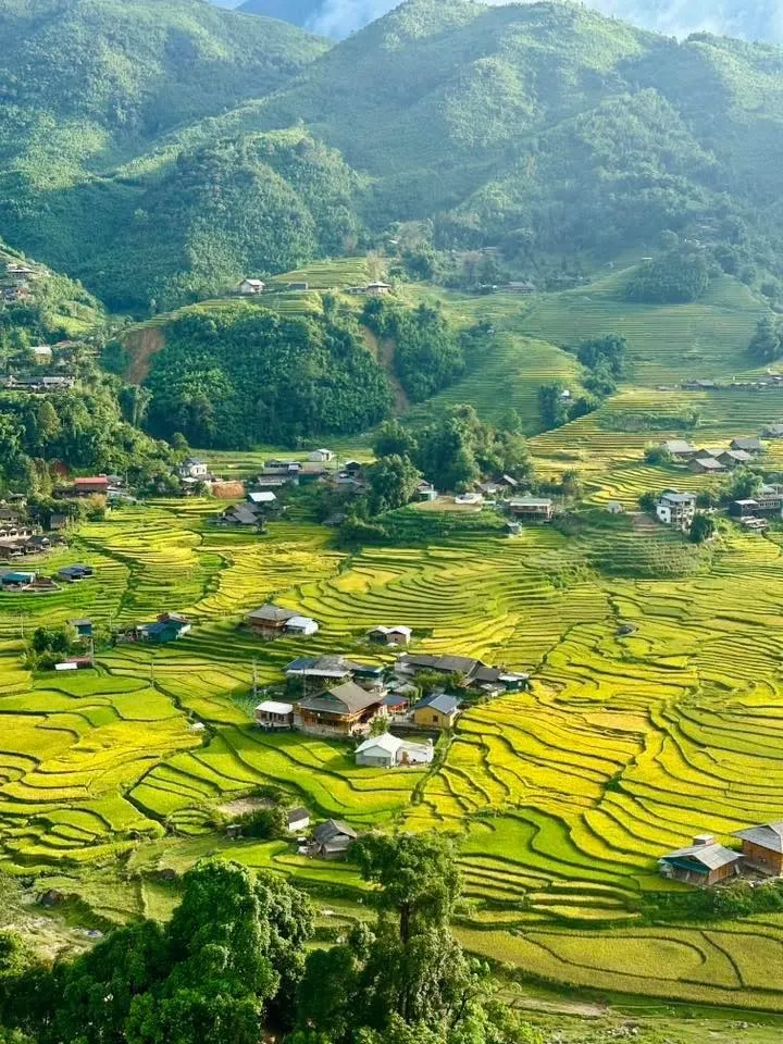 Trekking path near the homestay organized by our staff
